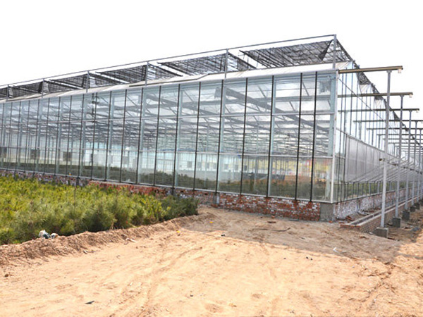 玻璃聯(lián)動溫室