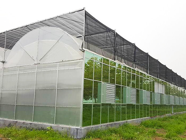 薄膜聯(lián)動溫室