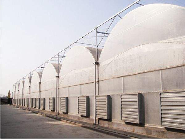 薄膜聯(lián)動溫室