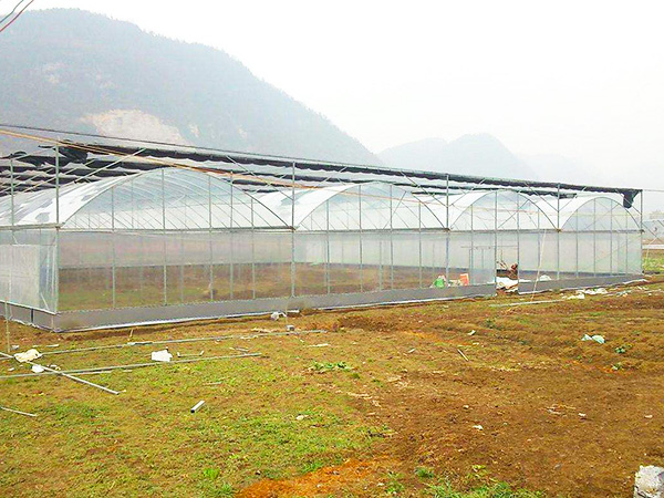 薄膜聯(lián)動(dòng)溫室