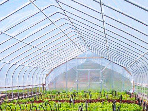 薄膜聯(lián)動溫室