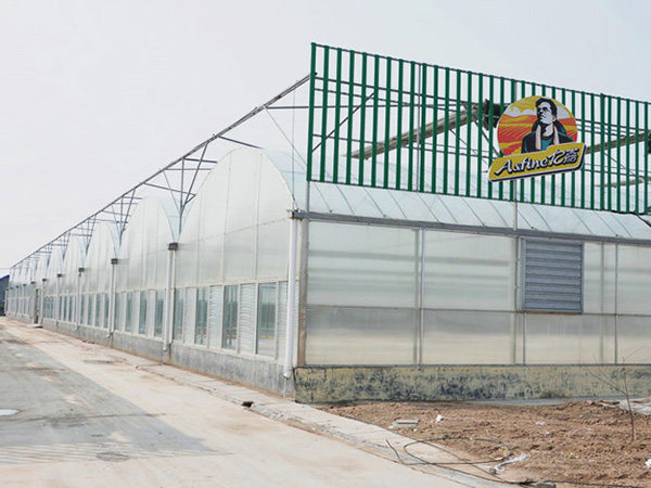 薄膜聯(lián)動(dòng)溫室