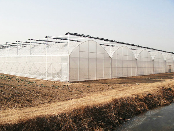 薄膜聯(lián)動(dòng)溫室