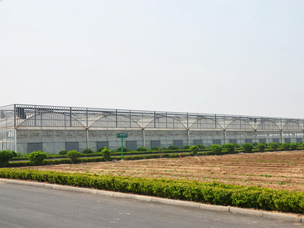 薄膜聯(lián)動(dòng)溫室