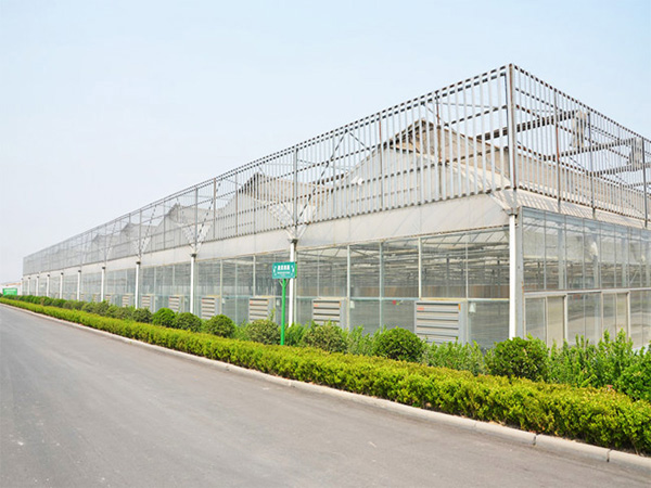 薄膜聯(lián)動溫室