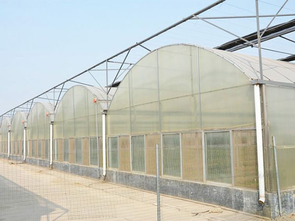 薄膜聯(lián)動(dòng)溫室