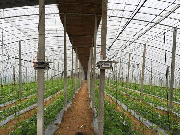 大棚智能放風機