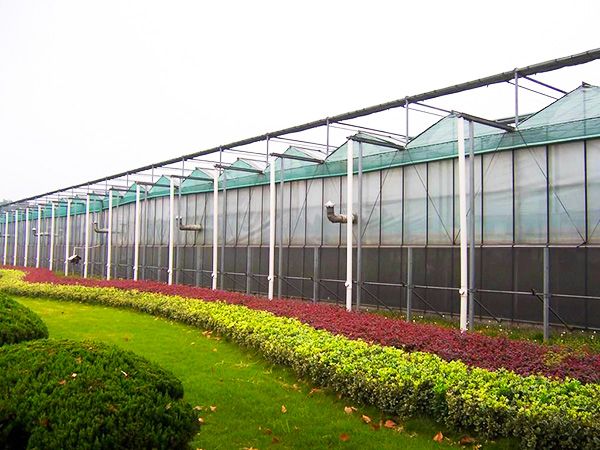薄膜連棟溫室