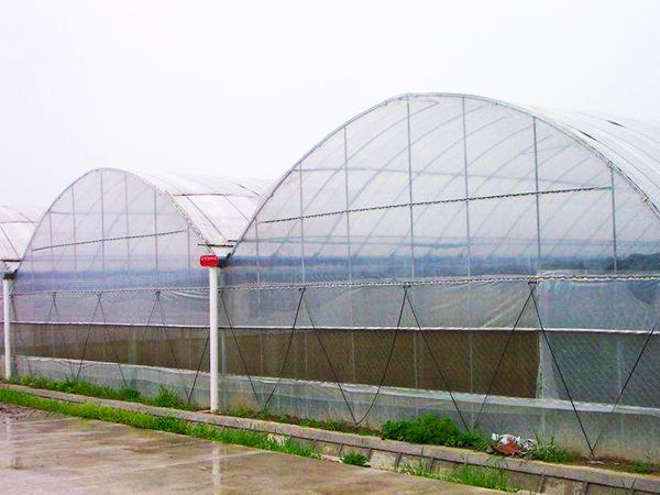 薄膜連棟溫室