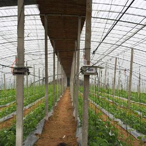 大棚智能放風機