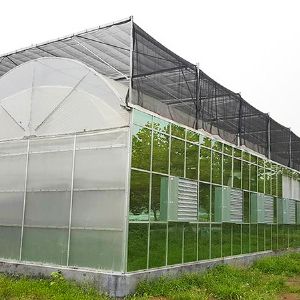 薄膜連棟溫室