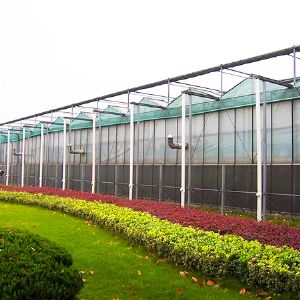 薄膜連棟溫室