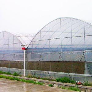 薄膜連棟溫室