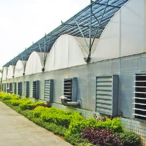 薄膜連棟溫室