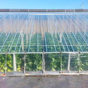 薄膜連棟溫室