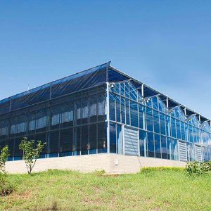 玻璃聯(lián)動溫室案例